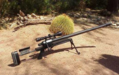 Rebel-50BMG-91-cm-Lauf(USA).jpg